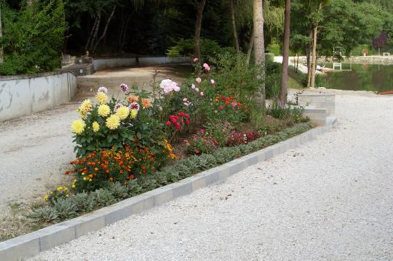 Massif de fleurs
